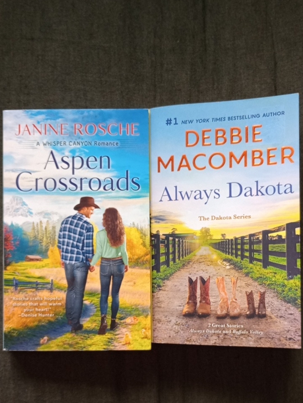 2 Country Western Romance Books
